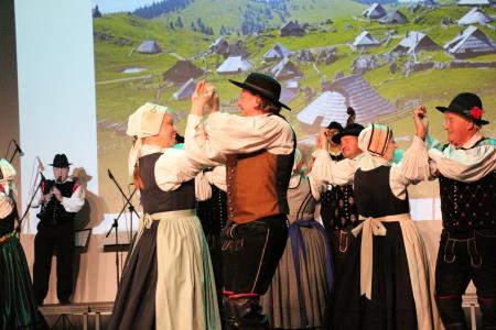 Ples in glasba izpod kamniških planin v izvedbi Folklorne skupine Kamnik in njihovih prijateljev  (3)